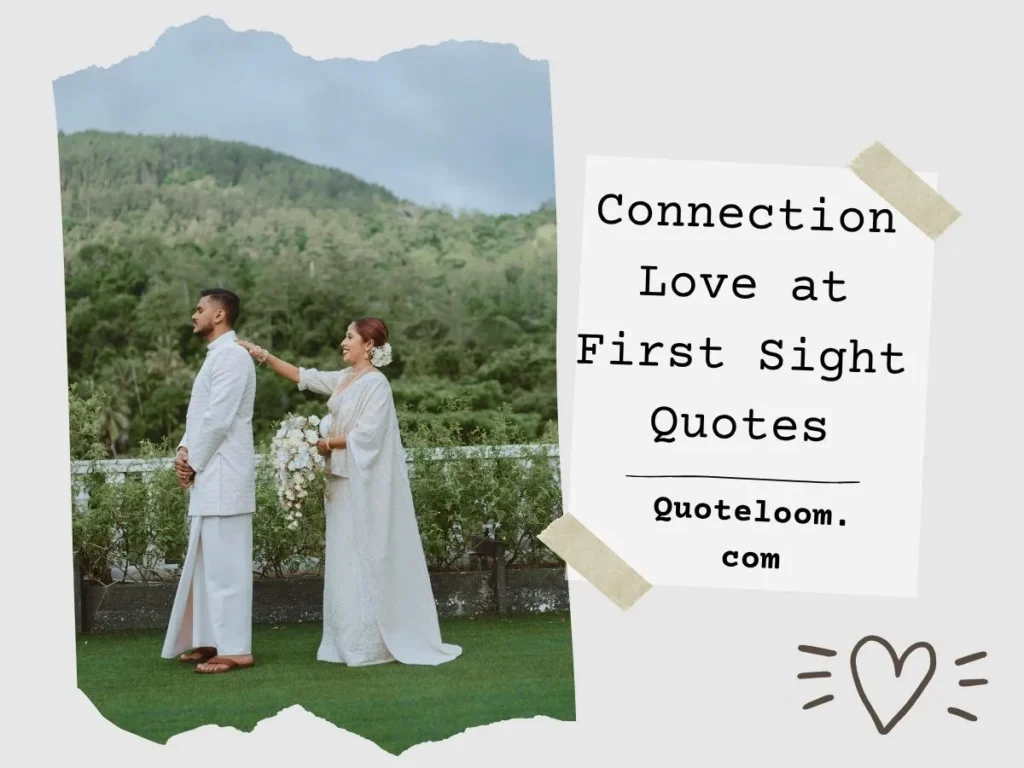 Connection Love at First Sight Quotes