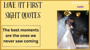 Love at First Sight Quotes
