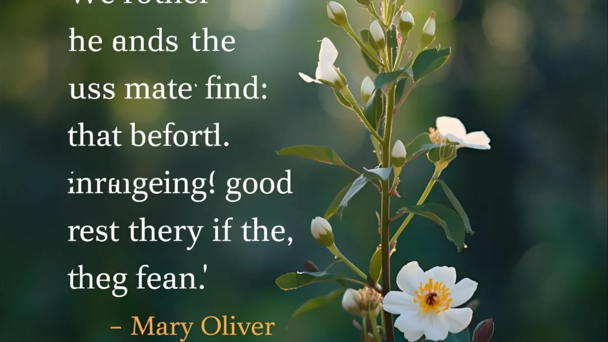 Mary Oliver Quotes