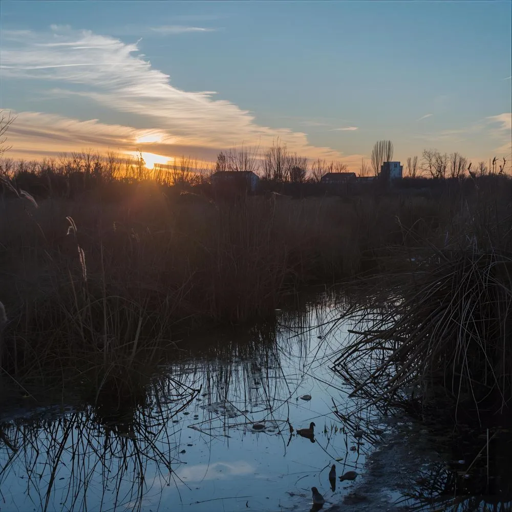  Regret and Reflection